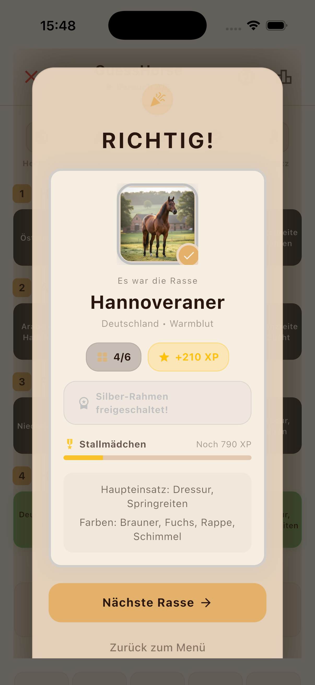 Guesshorse Pferdedetail